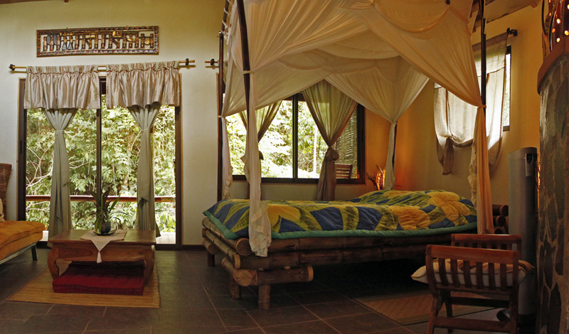 Juice Detox - Dragonfly Suite I