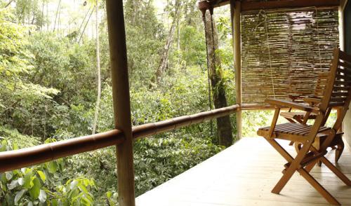 1357dragonfly_balcony