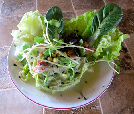 Vegan Meals Package